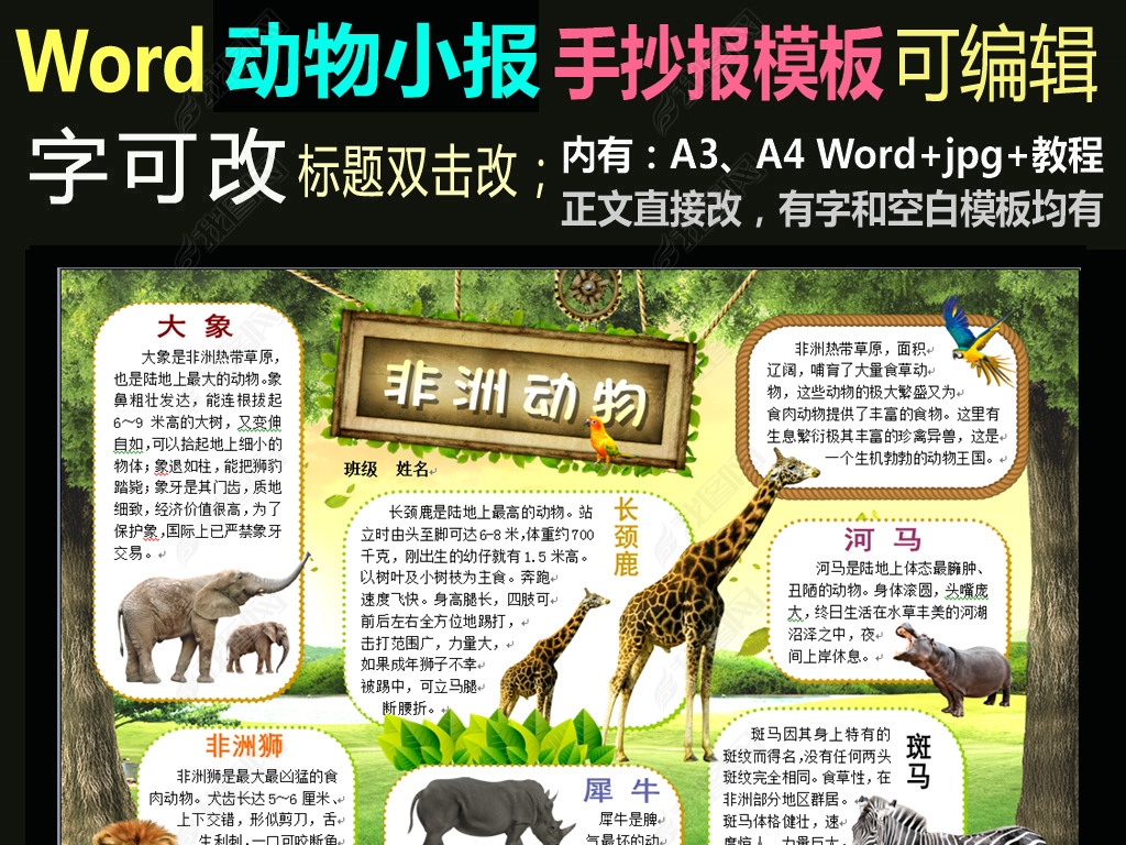 原创word模板电子手抄报非洲动物小报版权可商用