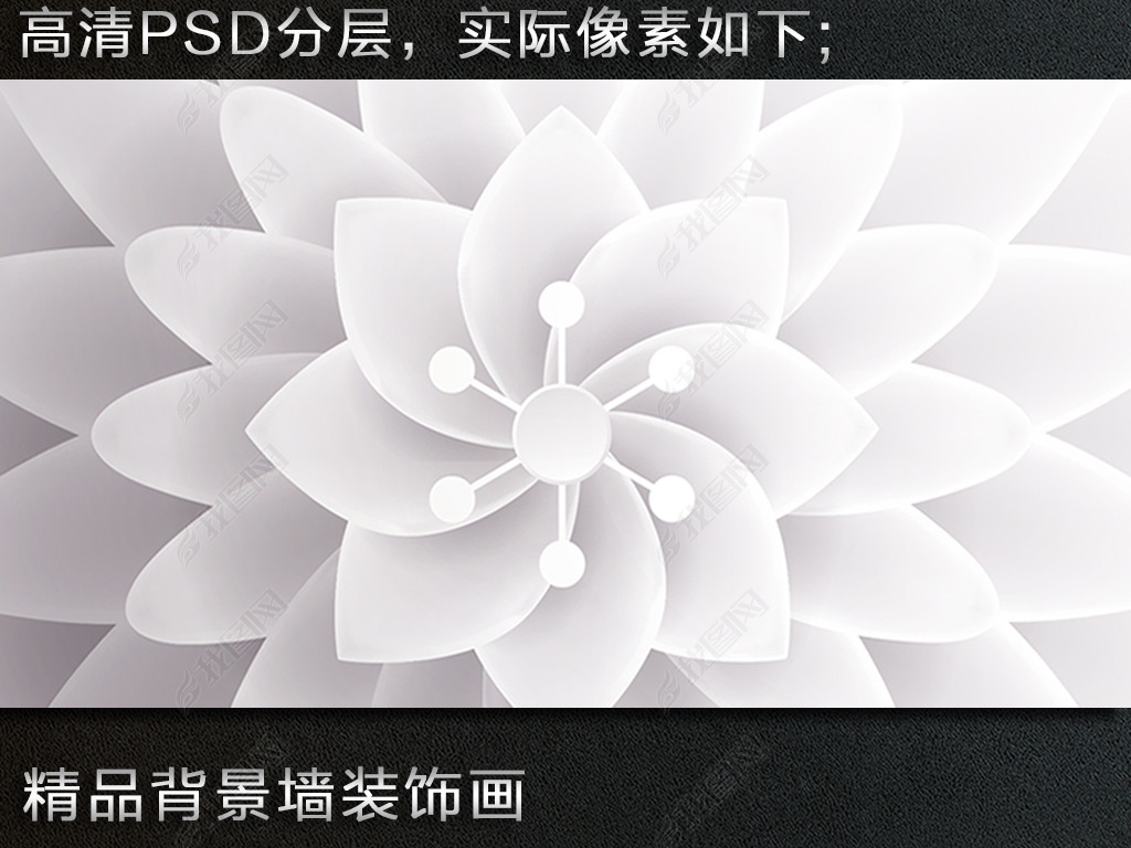 3DΨ˳屳ǽ