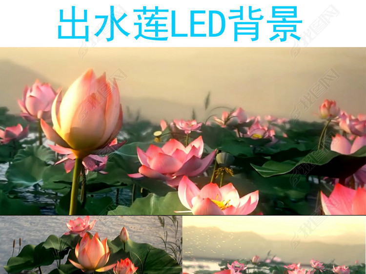 出水莲LED背景视频素材