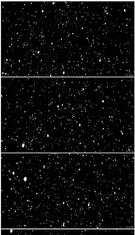 带通道唯美下雪雪花飘落视频素材