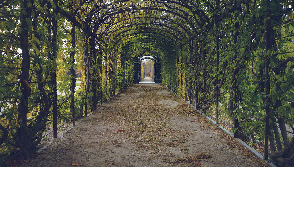 背景墙 电视背景墙 电视背景墙 > 欧式藤蔓走廊花园 素材图片参数