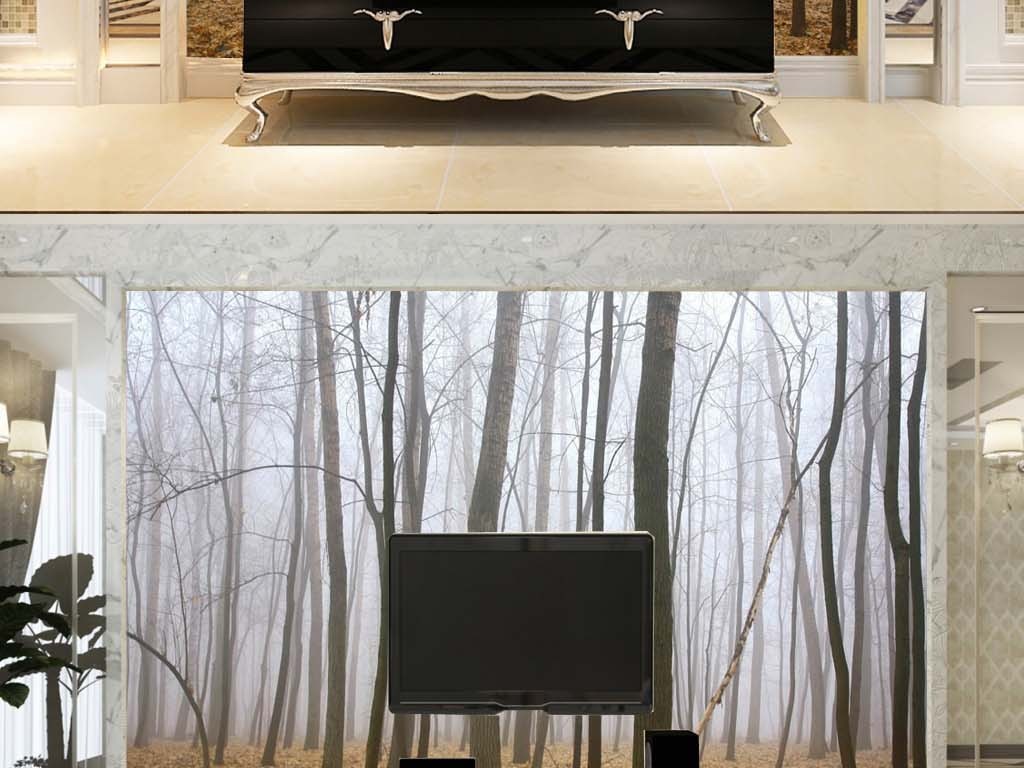 大自然迷雾浓雾树林电视客厅背景墙摄影