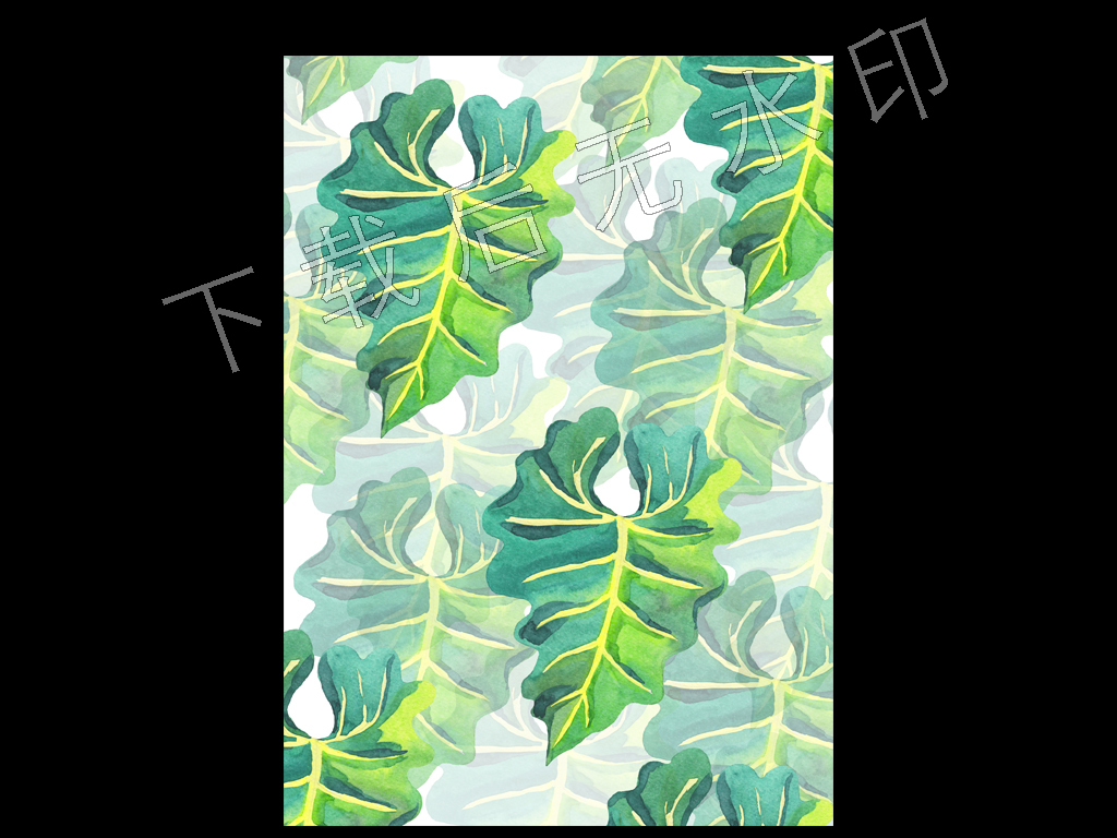 高清简约小清新北欧风格植物叶子装饰画