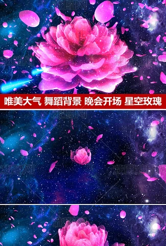 æµæ˜Ÿé›¨åŠ¨æ€èƒŒæ™¯ä¸