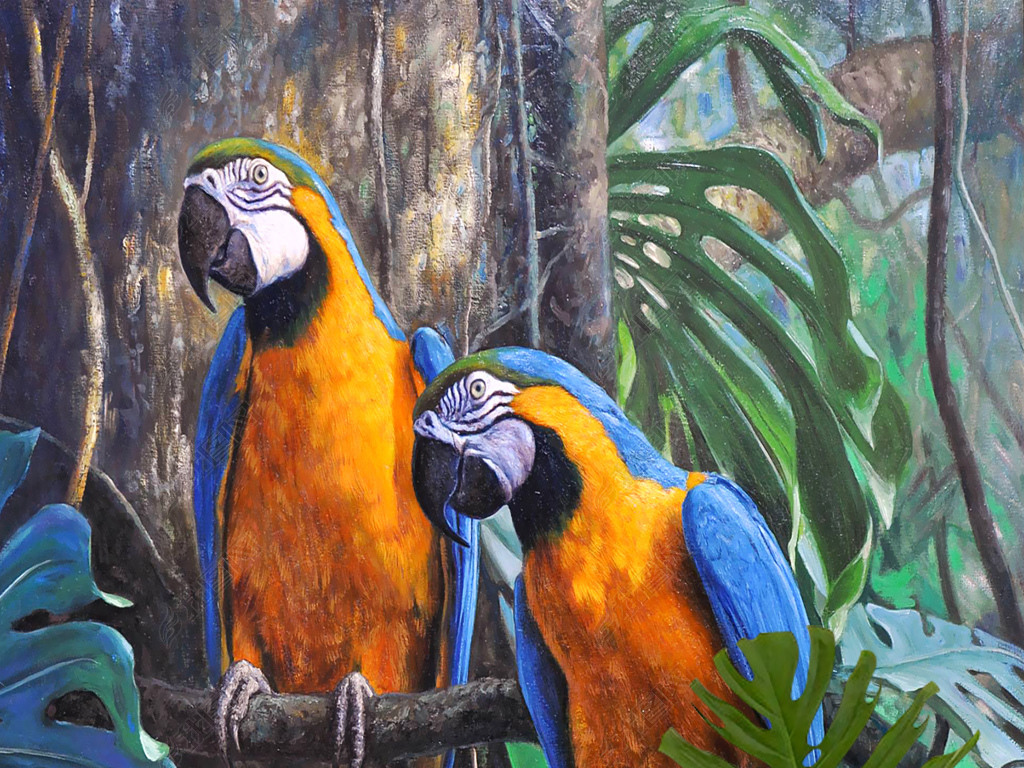 手绘油画金刚鹦鹉彩色鹦鹉壁画玄关背景墙