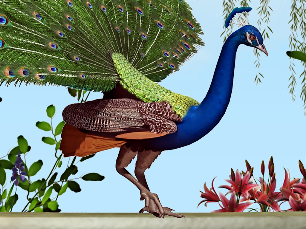 欧式皇家孔雀花园3d玄关