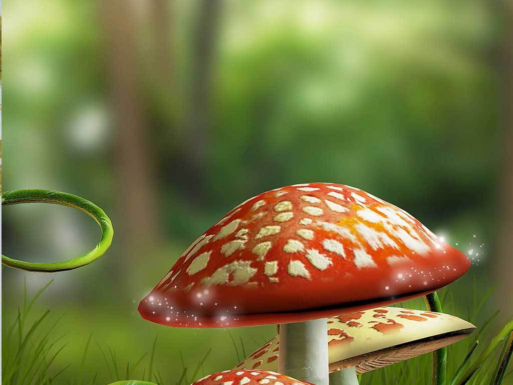 梦幻森林蘑菇玄关背景墙