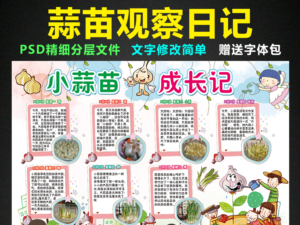 大蒜成长日记小报植物生长手抄报电子小报