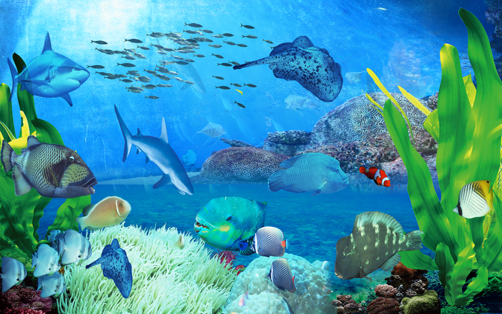 唯美海底世界梦幻海底世界温馨背景墙