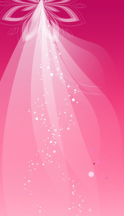 唯美粉色梦幻灯光下的鲜花叠影创意展架