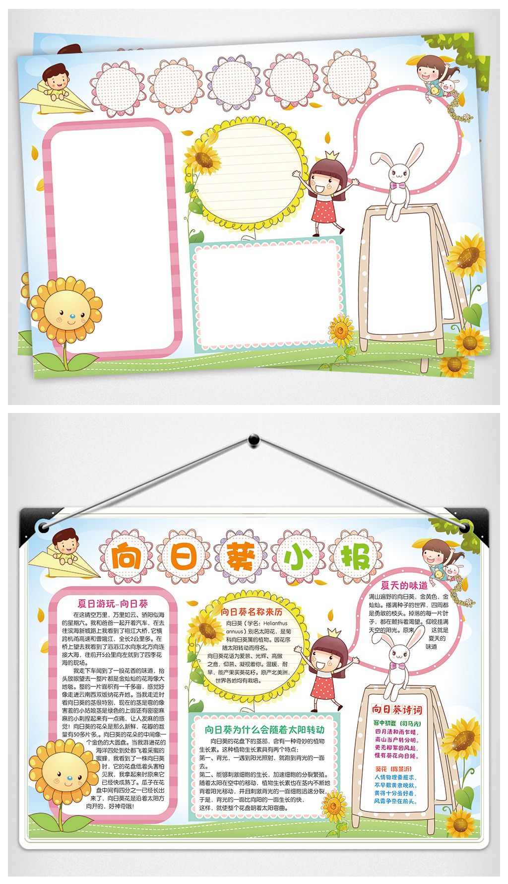 向日葵手抄报夏天来了电子小报word模板