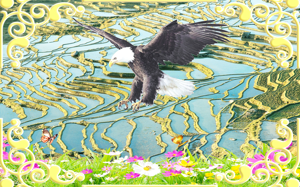 步步高升大展宏图