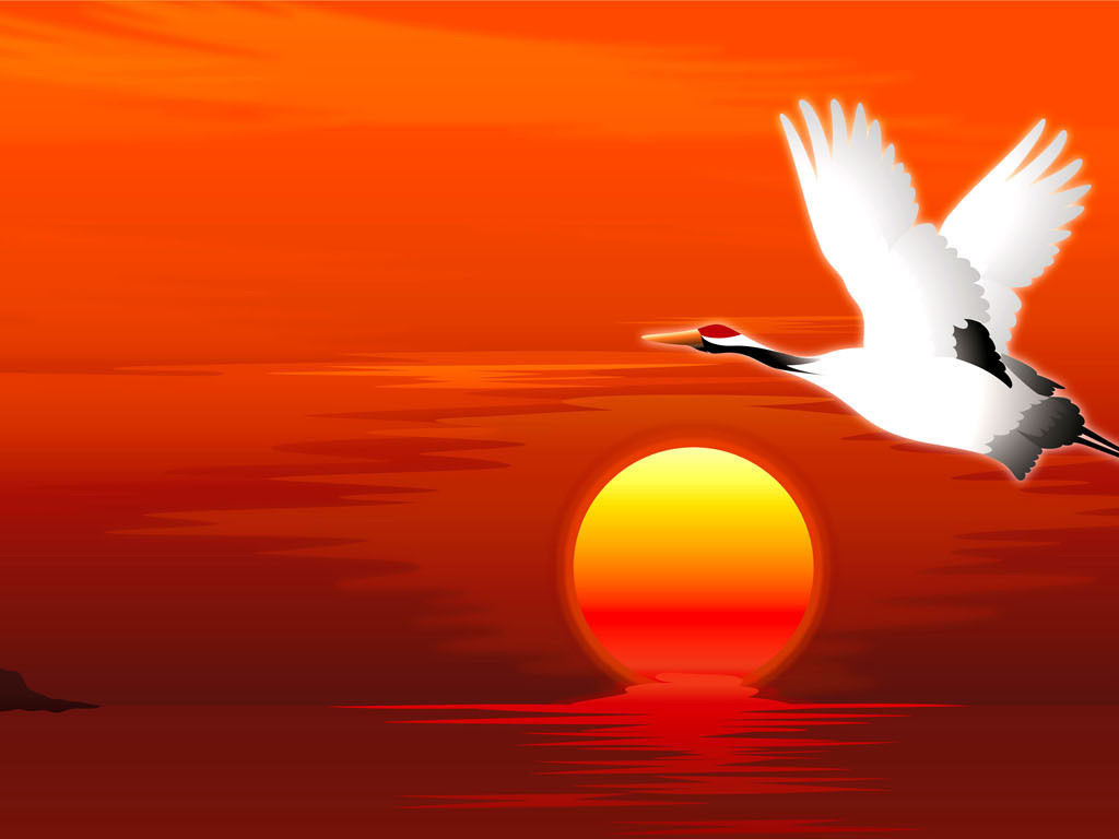 白鹤飞天无框画