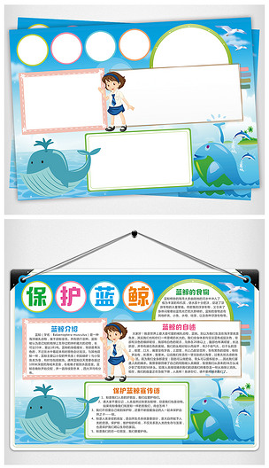 保护蓝鲸手抄报海洋动物电子小报word