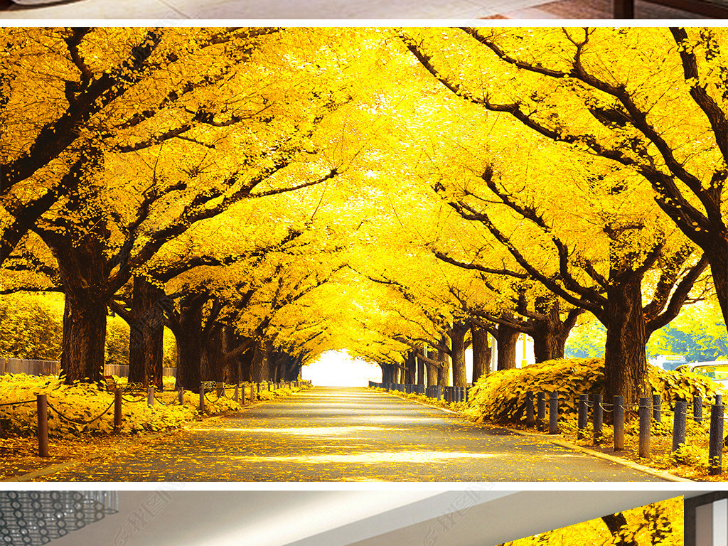 原创满地黄金风景电视背景墙版权可商用