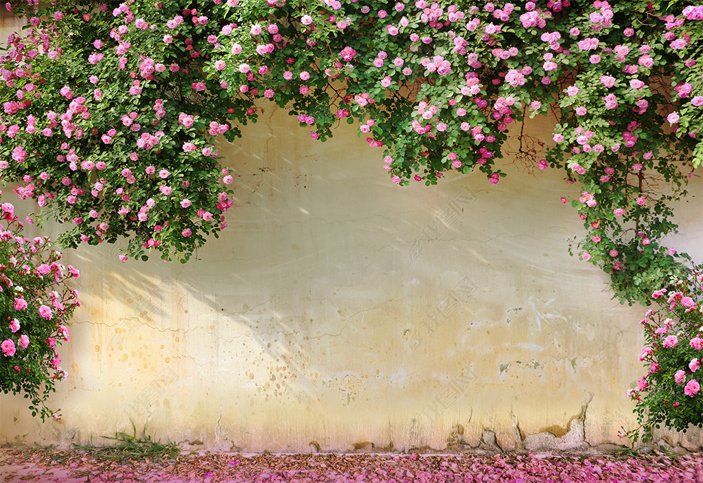 蔷薇玫瑰背景墙