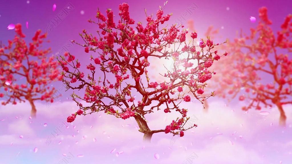 孝庄秘史主题曲女儿情mv舞台背景