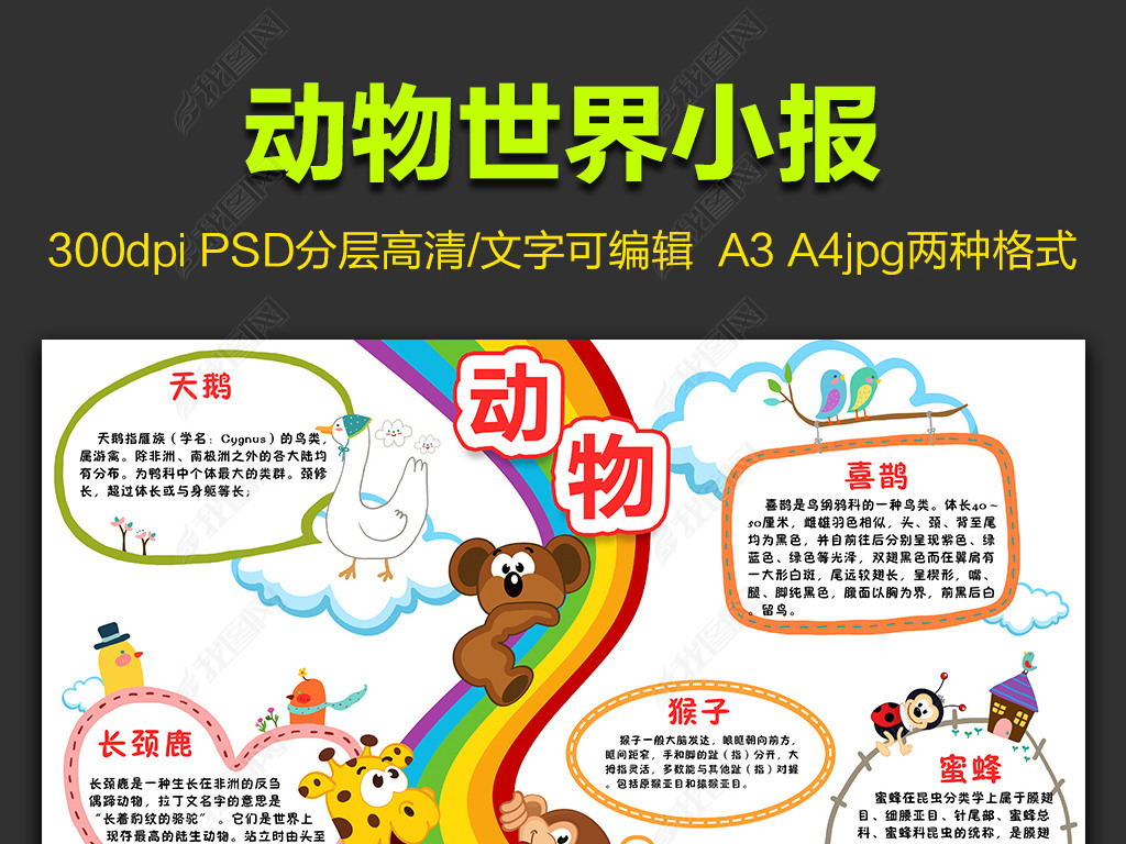 原创动物园动物世界旅游见识手抄小画报