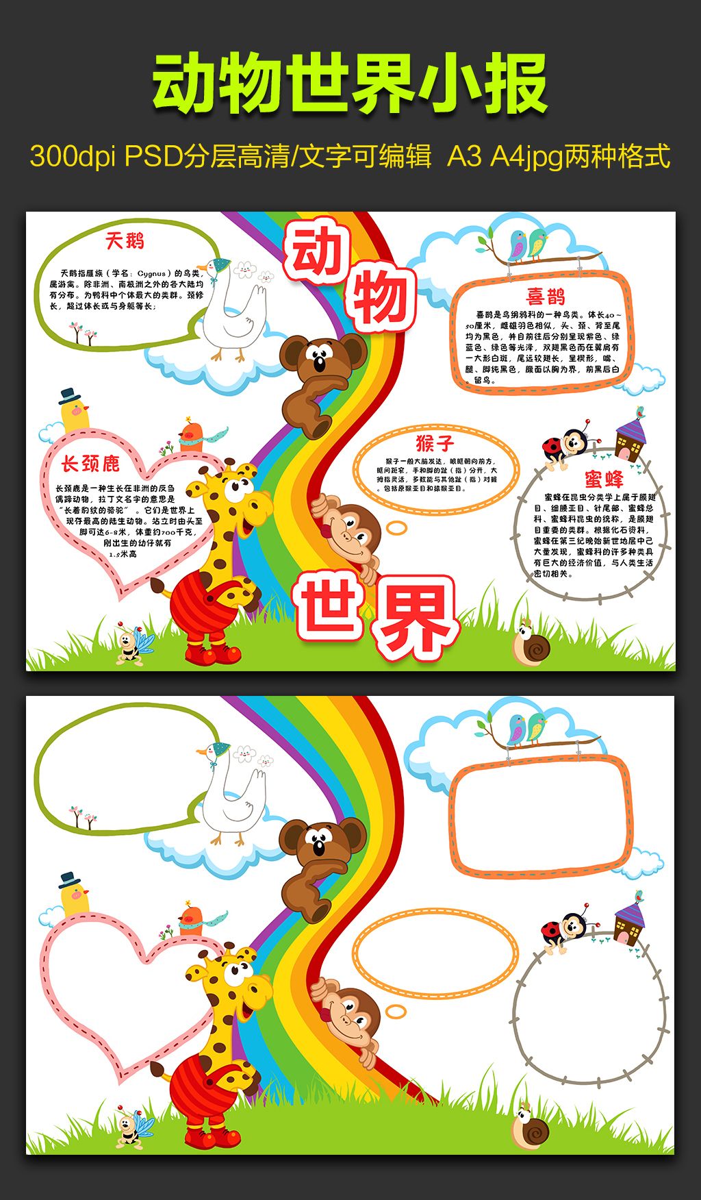 原创动物园动物世界旅游见识手抄小画报版权可商用