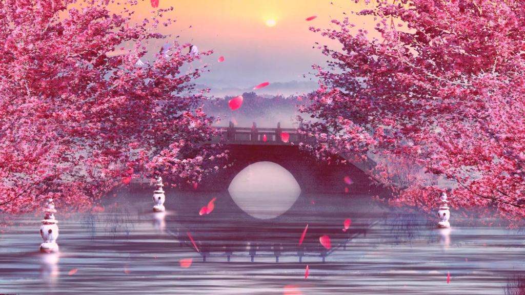 中国江南风粉色浪漫桃花绽放