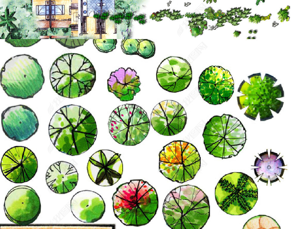 园林绿化psd彩平下载-编号16780500-彩色平面图-我图网