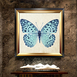 美式昆虫装饰画专题模板-美式昆虫装饰画图片素材下载-我图网