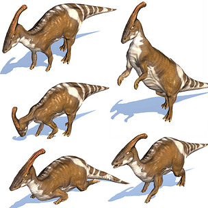 超写实恐龙副栉龙带材质贴图绑定各种动画