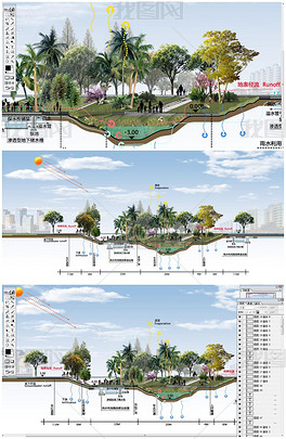 原创海绵城市雨水花园公园城市psd剖面图源文件