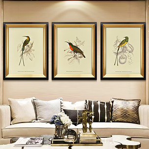 北欧美式无框画客厅装饰画简约油画玄关花鸟