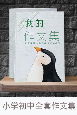 小学生初中作文集个人作品集信纸手绘封面