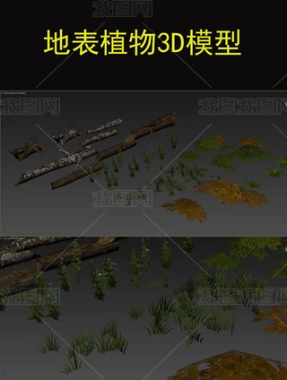 �ر�ֲ��3Dģ��