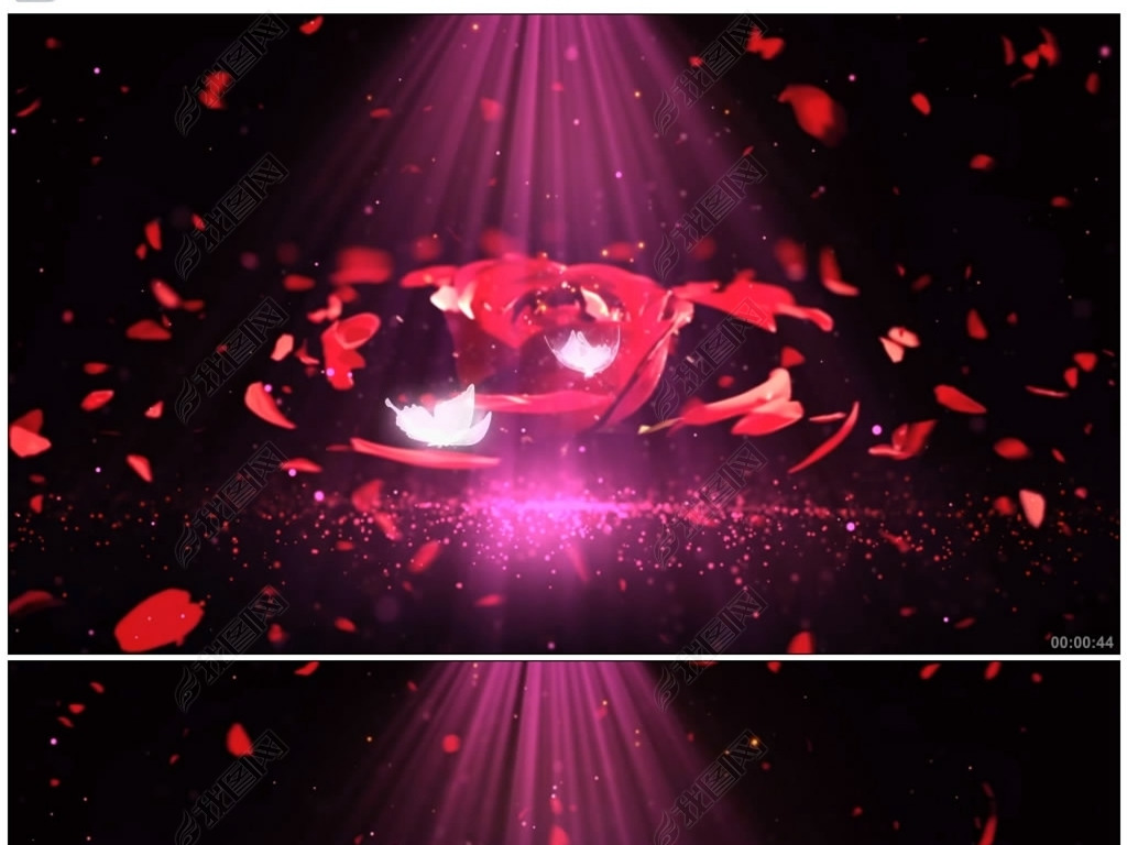 唯美花瓣蝴蝶红玫瑰舞蹈婚礼视频背景