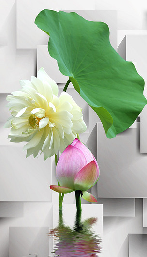 玄关3d荷花倒影