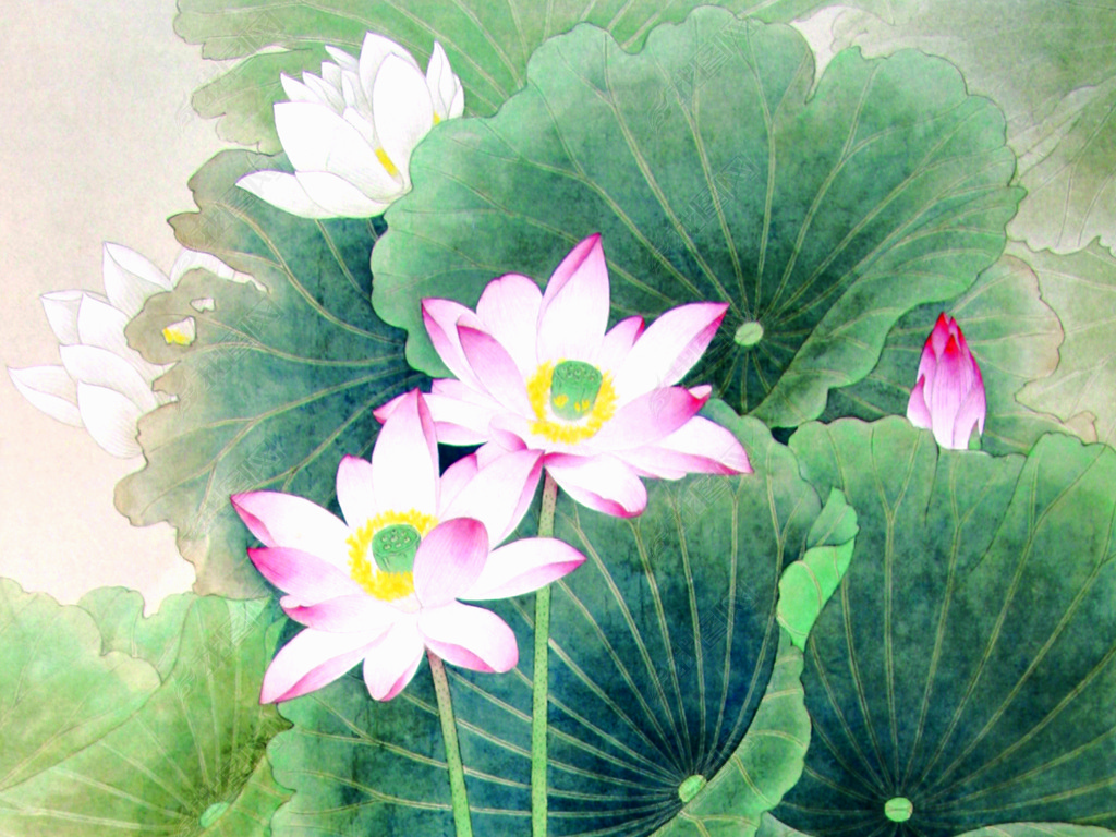 中国风水墨荷花爱莲说无框画50064-2