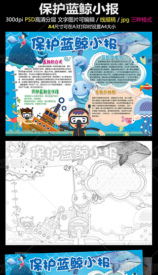 保护蓝鲸手抄报海洋动物电子小报