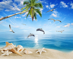 海豚湾爱琴海景椰子树沙滩贝壳风景画背景墙