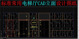 标准常用电梯厅CAD立面设计图纸