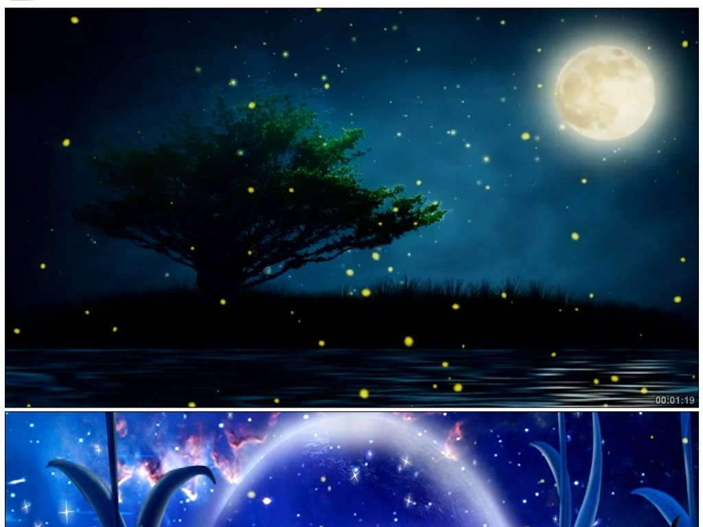 夏夜之美虫儿飞伴奏少儿节目表演