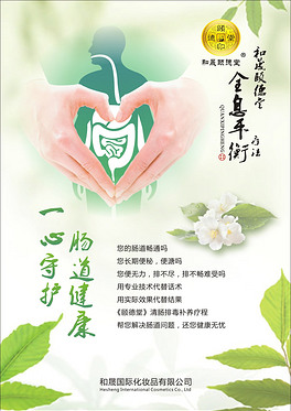 保护肠道养生保健调理身体健康排毒太极海报