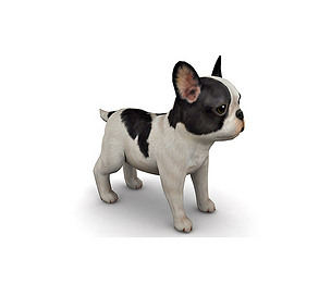 小狗3d模型
