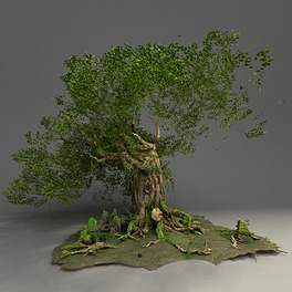 古树大树菩提树3d模型