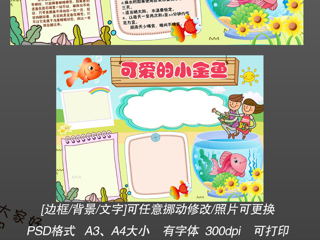 观察日记饲养小金鱼可爱宠物动物小报手抄报模