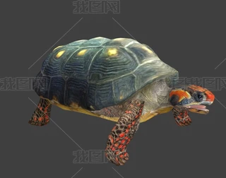 ����������½���������FBX��ʽ