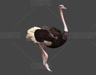 Ӱ�Ӽ����������FBX��ʽ������