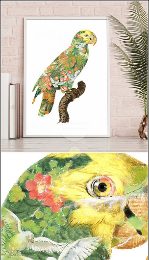 北欧手绘水彩抽象鸟鹦鹉植物装饰画下载-编号17506208-动物装饰画-我