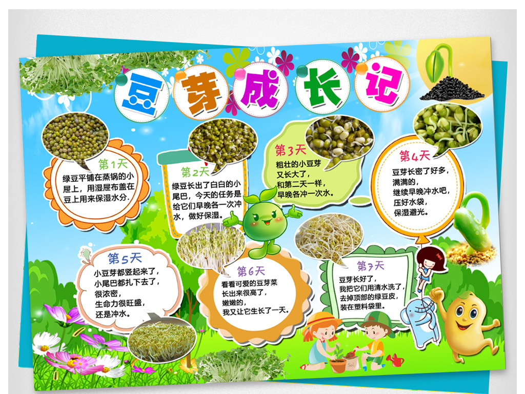 黄豆芽生长过程日记小报植物观察日记手抄报