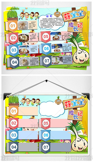 可爱蒜苗生长小报大蒜宝宝手抄报观察日记