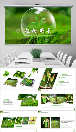 小树苗生长过程ppt模板|绿色春天植物成长树苗生长动态ppt模板