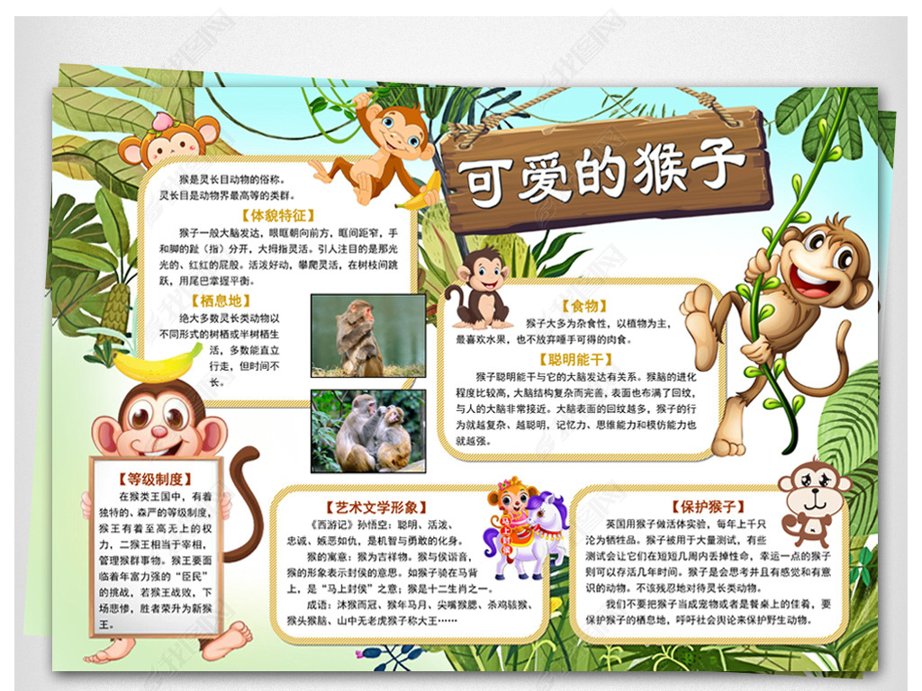 word电子小报模板可爱的猴子动物小报下载-编号17615686-科学手抄报