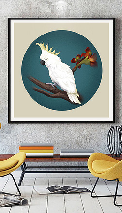北欧抽象白色鹦鹉艺术装饰画